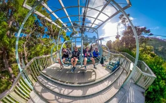 Cable_Bay_Adv_Park_Skywire_360-2