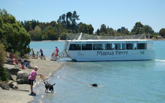 Mapua Boat