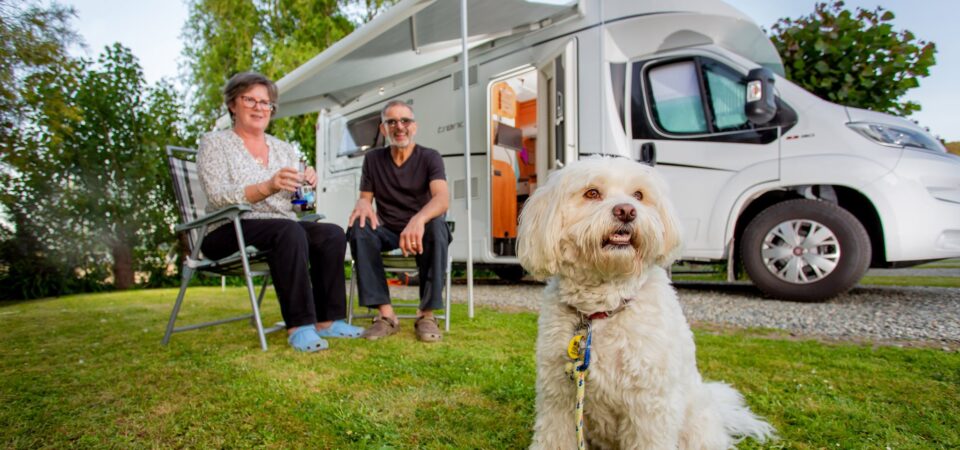 pet-friendly-camping-nelson