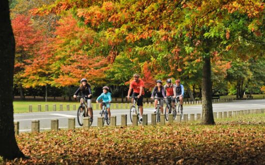 family-biking-nelson