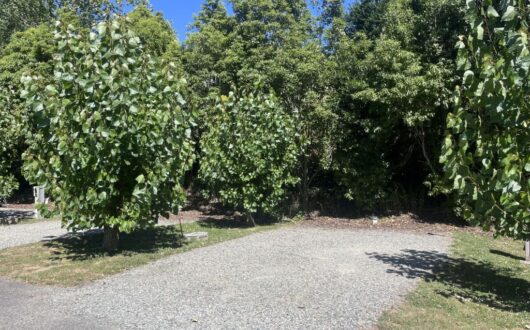 2nc-powered-site-campervan-only-001-web